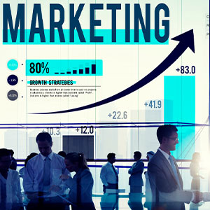 Sales and Marketing Mastery